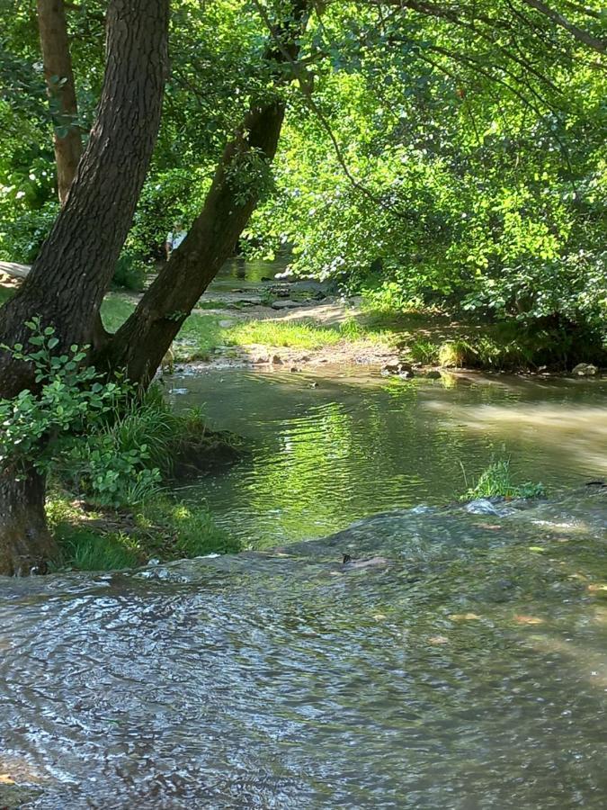 Coeur D'Uzes Lejlighed Eksteriør billede